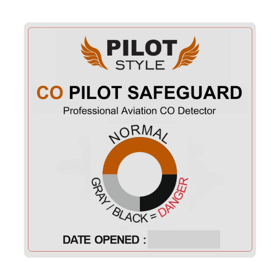 PilotStyle PS101